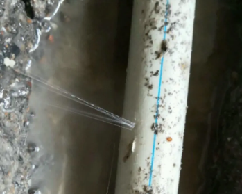 新河卫生间测漏水多少钱