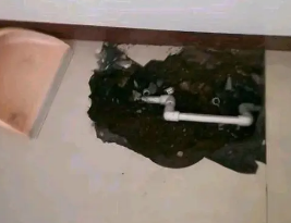 新河卫生间测漏水多少钱