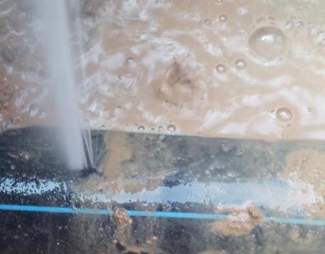 新河卫生间防水哪家好